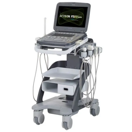 Портативный УЗИ аппарат Siemens Acuson P500